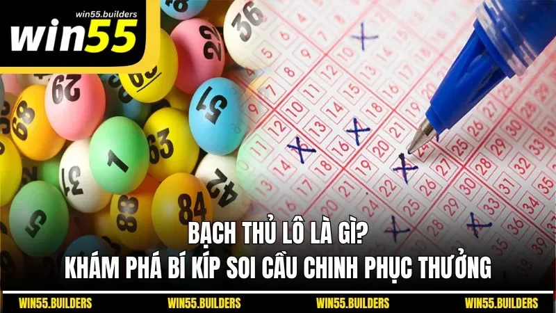 Bạch Thủ Lô Là Gì? Khám Phá Bí Kíp Soi Cầu Chinh Phục Thưởng