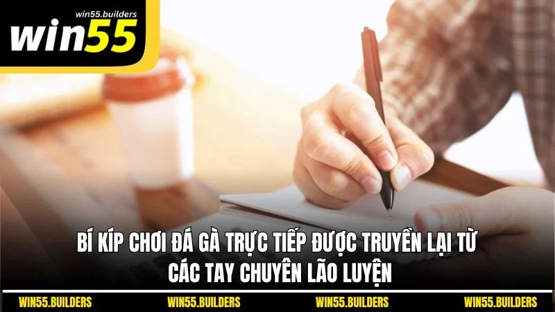 Bí kíp chơi đá gà trực tiếp được truyền lại từ các tay chuyên lão luyện