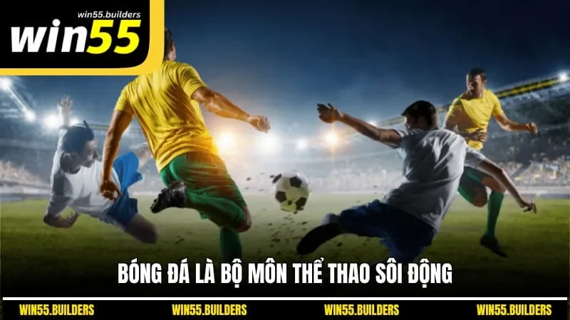 Bóng đá là bộ môn thể thao sôi động