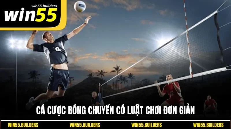 Cá cược bóng chuyền có luật chơi đơn giản
