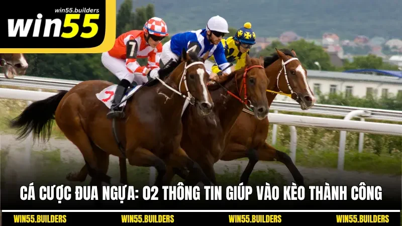 Cá Cược Đua Ngựa: 02 Thông Tin Giúp Vào Kèo Thành Công