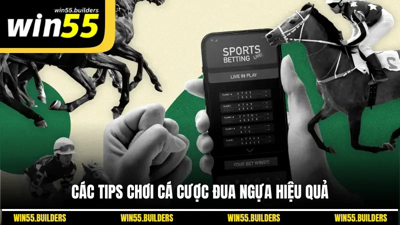 Các tips chơi cá cược đưa ngựa hiệu quả