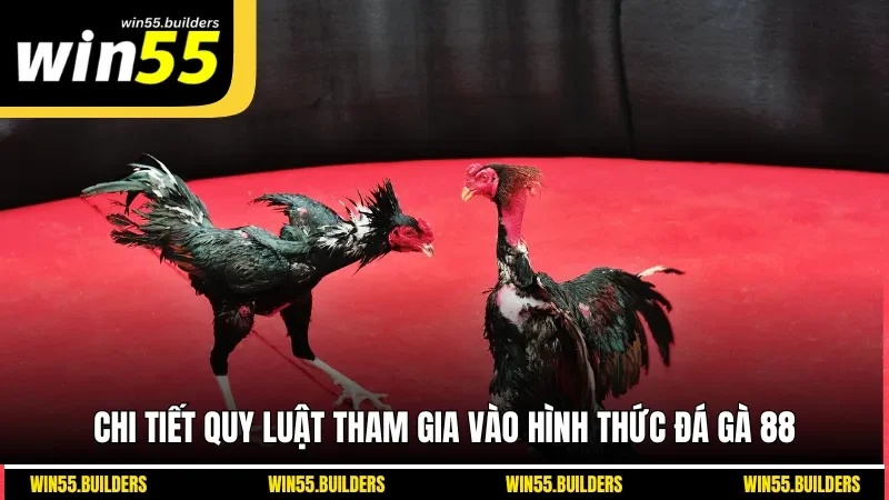 Chi tiết quy luật tham gia vào hình thức đá gà 88