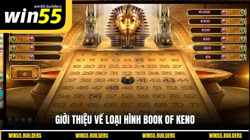 Giới thiệu về loại hình Book of Keno