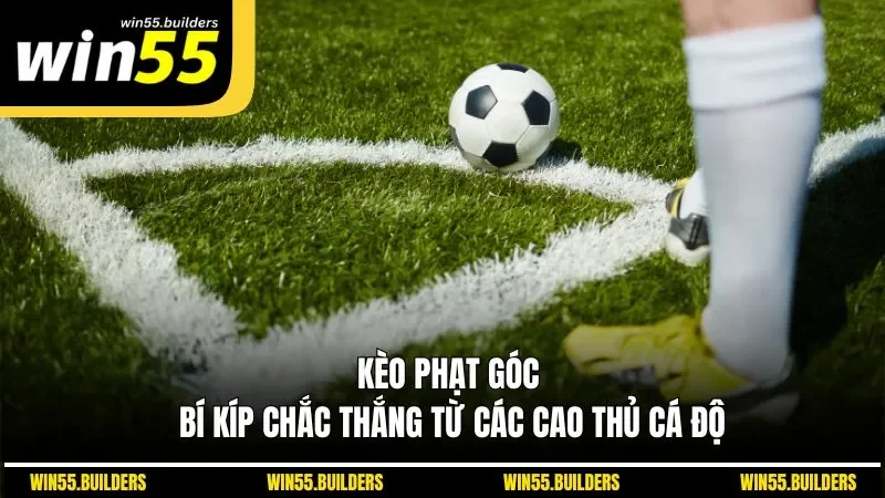 Kèo phạt góc - Bí kíp chắc thắng từ cao thủ cá độ
