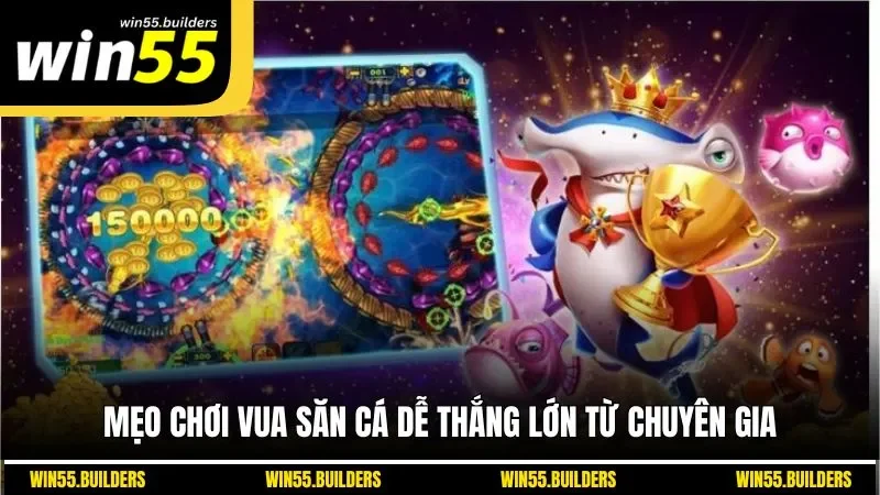 Mẹo chơi vua săn cá dễ thắng lớn từ chuyên gia
