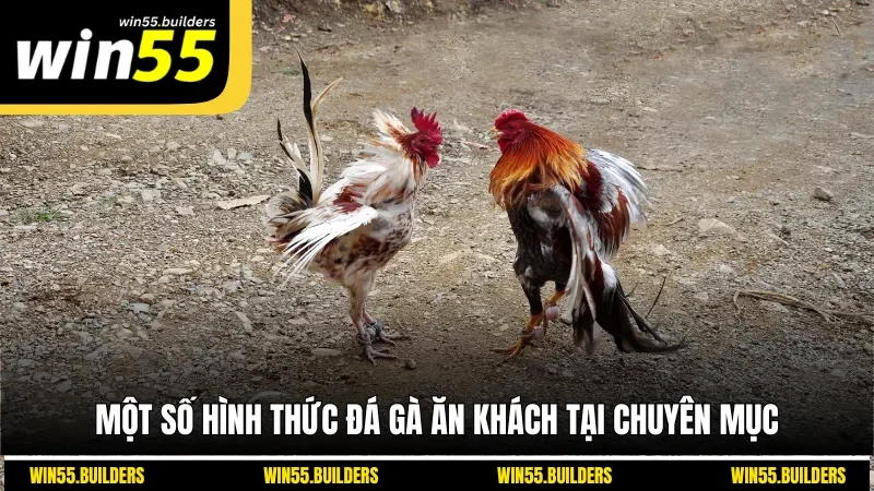 Một số hình thức đá gà ăn khách tại chuyên mục