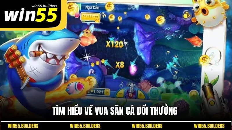 Tìm hiểu về Vua săn cá đổi thưởng